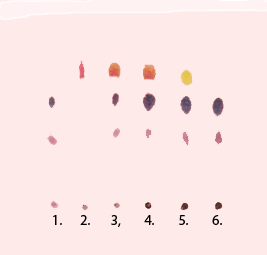 Paper Chromatography in Crime Scene Investigations