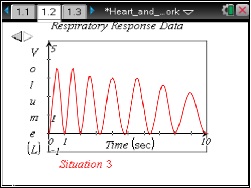 Heart and Lungs - Making Them Work