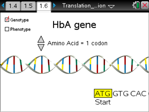 Translation Mutation