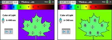 Screenshots from the Photosynthesis in Plants activity
