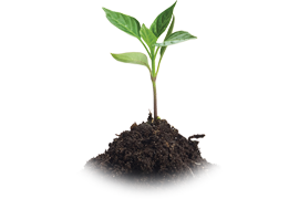 Activities STEM TI-Innovator hub Science Through Engineering Design