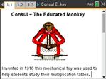 Year 10: Consul Monkey activity image