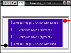 Traveling_Blue_Genes