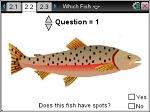 Which_Fish