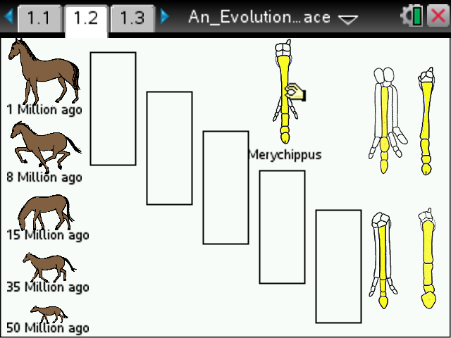 An_Evolutionary_Horse_Race_SS