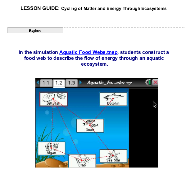 Cycling of Matter and Energy Through Ecosystems SS