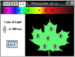Photosynthesis in Plants