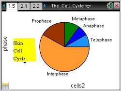 18292thecellcycle